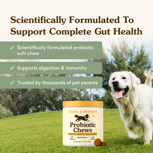 Vitality Chews - Complete Gut Health Support